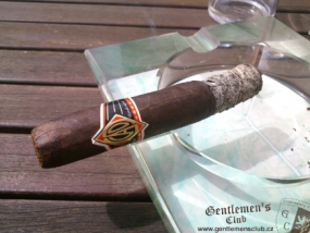 cao-vr-totem-robusto-4
