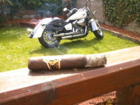 cao-vr-totem-robusto-5