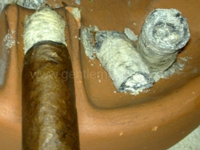 CAO Lx2 Toro