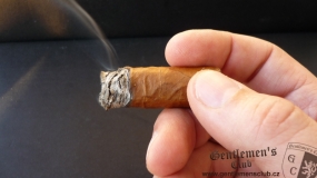 Cohiba Siglo II