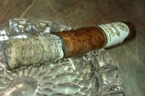 Dignity White Gold Torpedo