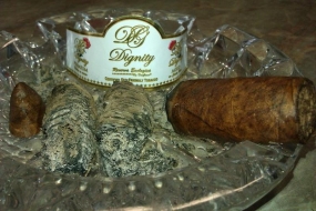 Dignity White Gold Torpedo