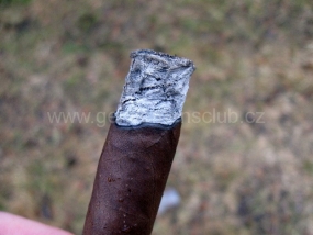 Don Pepin Garcia Blue Label Preferidos