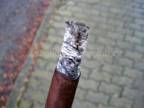 Don Pepin Garcia Blue Label Preferidos