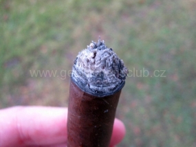 Don Pepin Garcia Blue Label Preferidos