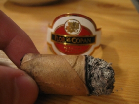 Flor de Copan Robusto