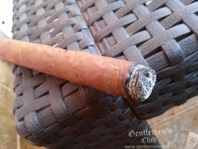 flordecano005