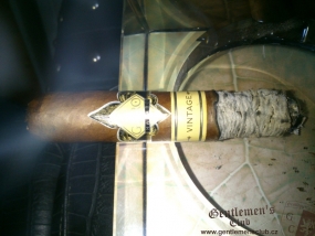 garo-vintage-toro5