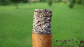 H. Upmann Magnum 46