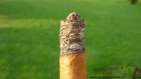 H. Upmann Magnum 46