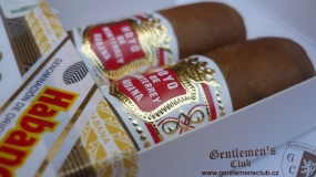 Hoyo de Monterrey Petit Robusto