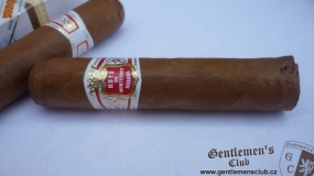 Hoyo de Monterrey Petit Robusto