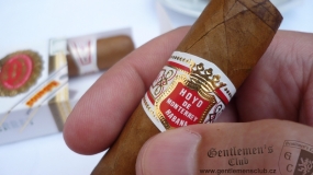 Hoyo de Monterrey Petit Robusto