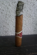 Joya Real Torpedo