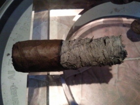 La Aurora Robusto
