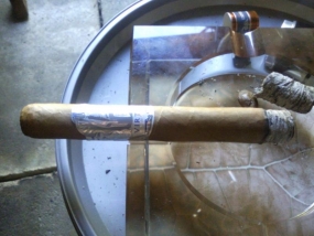 Man O' War Virtue Toro