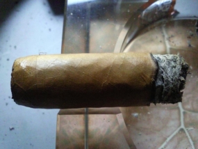 Man O'  War Virtue Toro