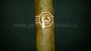 Padron - 3000