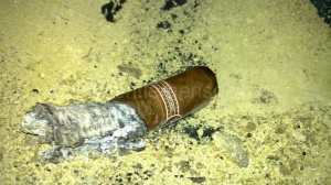 Padron - 3000