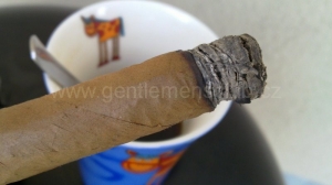 Partagas - Mille Fleuers