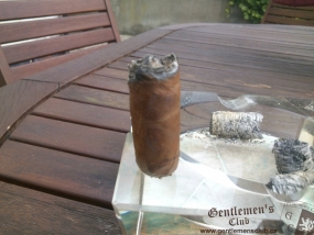 Pinolero Toro  