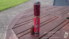 Rocky Patel Vintage 1990 toro tubo-6