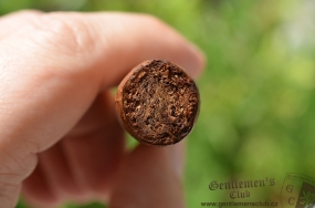 Romeo y Julieta Mille Fleurs