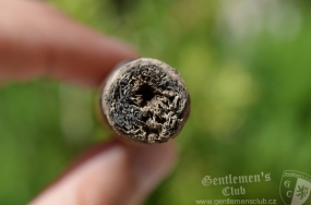 Romeo y Julieta Mille Fleurs