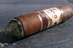 Te-Amo World Selection Robusto Honduras