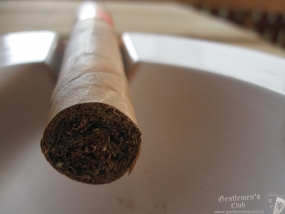 Vegas de Santiago Robusto