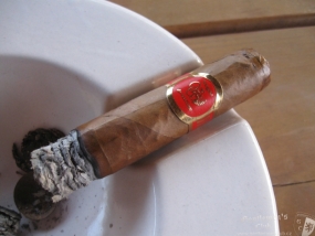 Vegas de Santiago Robusto