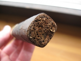 Bella Torres Box Press Robusto