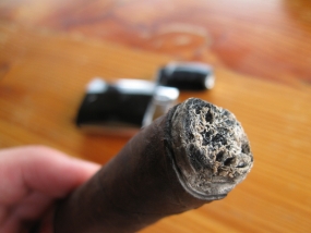 Bella Torres Box Press Robusto