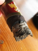 Bella Torres Box Press Robusto