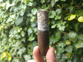 Cain Maduro Torpedo-7