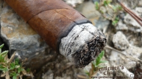 La Gloria Cubana Serie R Maduro No. 5