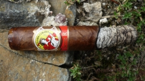 La Gloria Cubana Serie R Maduro No. 5