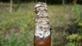 La Gloria Cubana Serie R Maduro No. 5