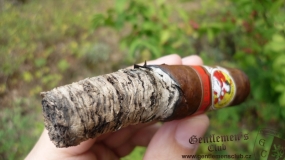 La Gloria Cubana Serie R Maduro No. 5