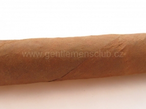 H. Upmann Magnum 50