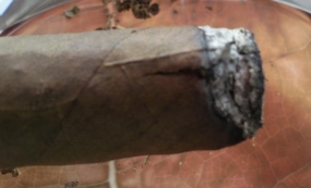 La Perla Habana Morado