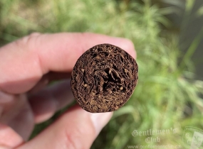leafbyoscarcorojo03