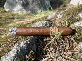 leafbyoscarcorojo04