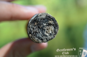 NUB 460 Connecticut