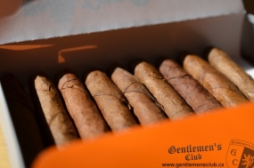 Partagas Mini