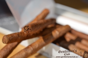 Partagas Mini
