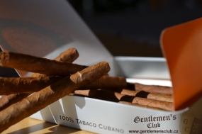 Partagas Mini