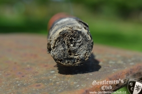 Partagas Serie P No. 2