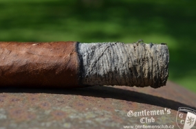 Partagas Serie P No. 2