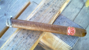 Partagas - 898
